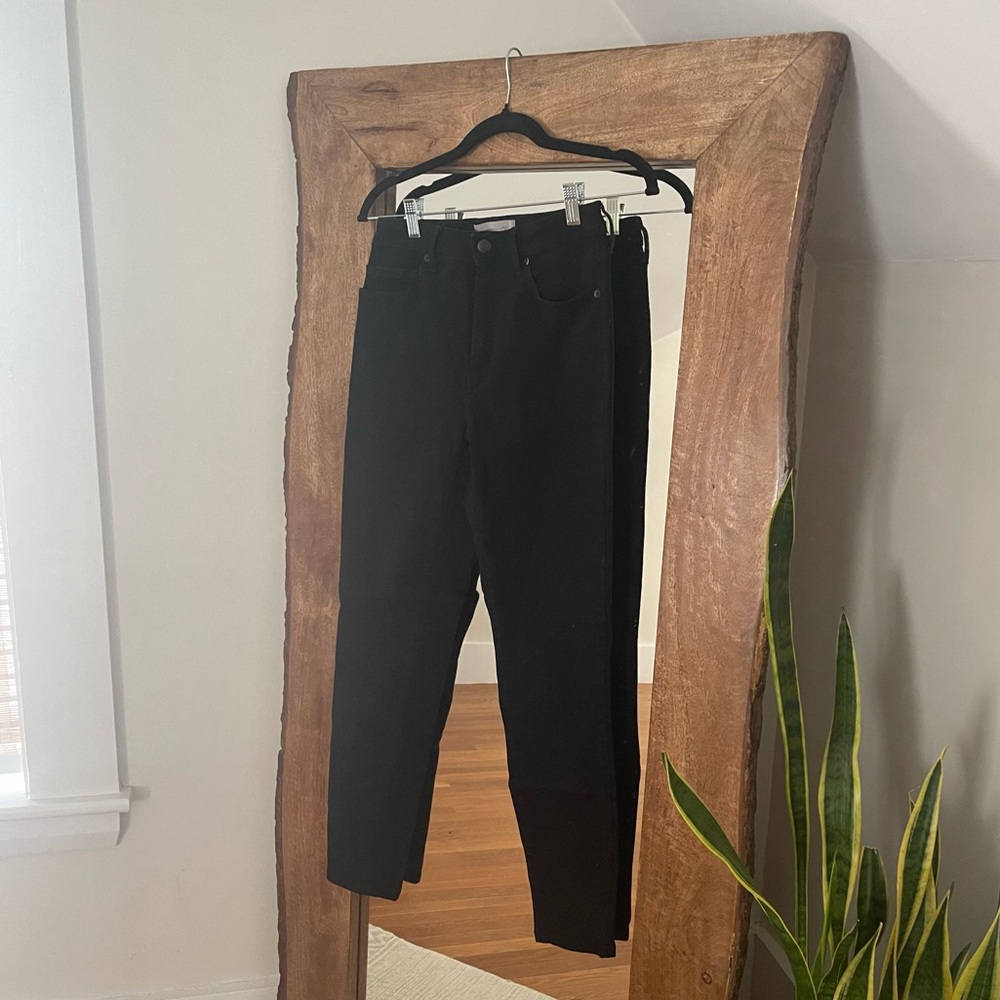 Everlane Curvy High-Rise Skinny Jean (SZ 26)